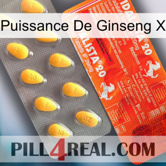 Ginseng Power X new01